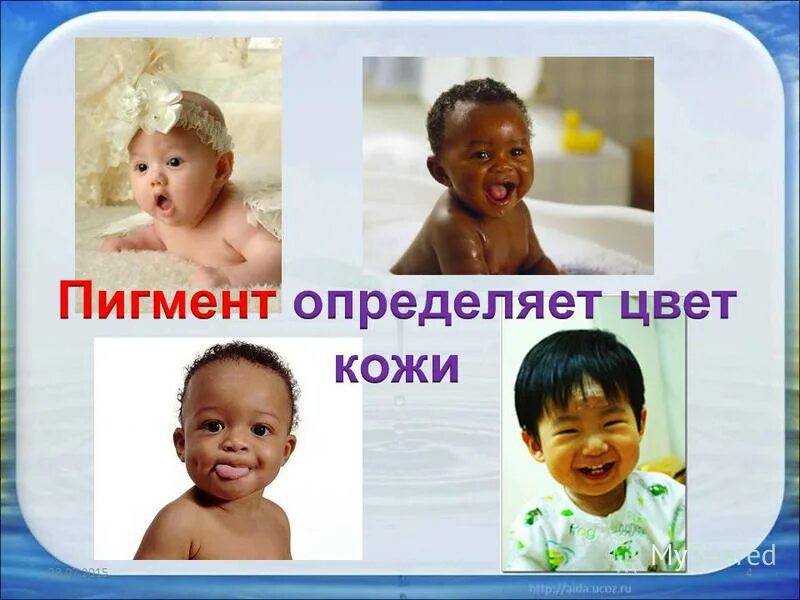 цвет волос меланин. цвет кожи определяет пигмента. пигменты для лакокрасочных материалов. меланин цвет кожи. пигмент меланин.