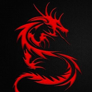 Amd dragon