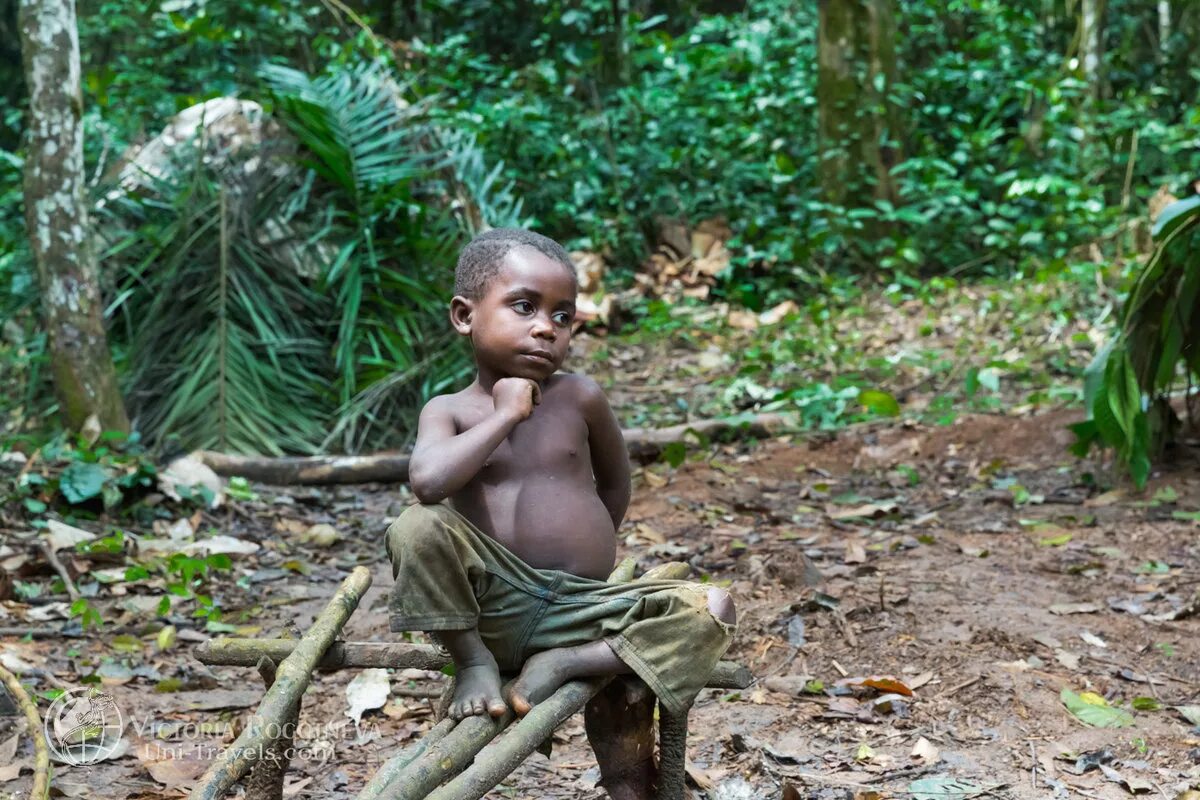 заповедник джа. пигмей отзывы. заповедник джа камерун. мбути. пигмей отзывы.