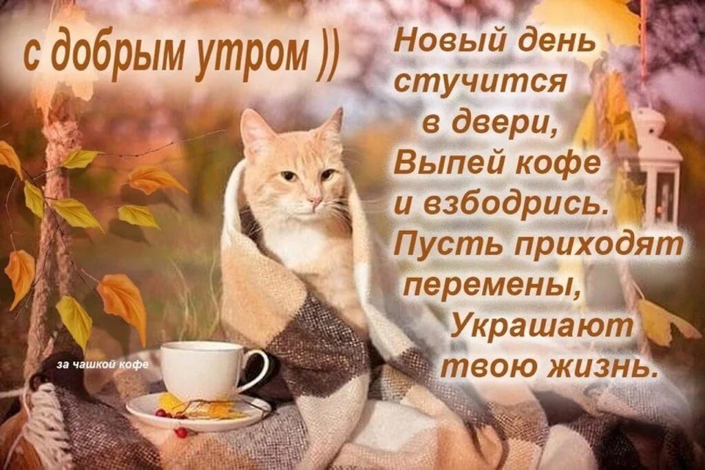Открытки с добрым утром с работой. Теплые пожелания с добрым утром. доброе утро и хорошего настроения женщине. открытки с котиками доброго утра. с добрым утром коты с собаками и надписями.
