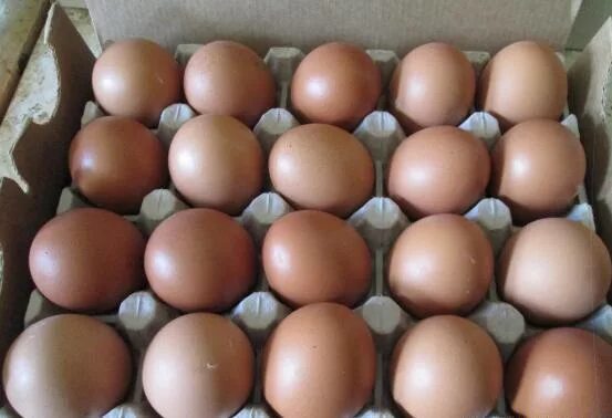 Яйца кучей. Яйцо (пищевой продукт). Много яиц. Очень много яиц. Съедобные яйца 1.