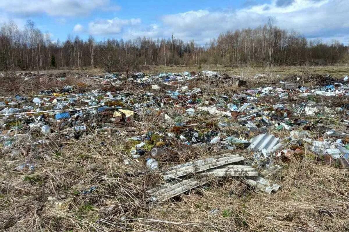 Полигон тбо тула. Полигон тбо тверь бежецкое шоссе. Городская тверская свалка. Полигон тбо славное тверь. Свалка тбо тверская область.