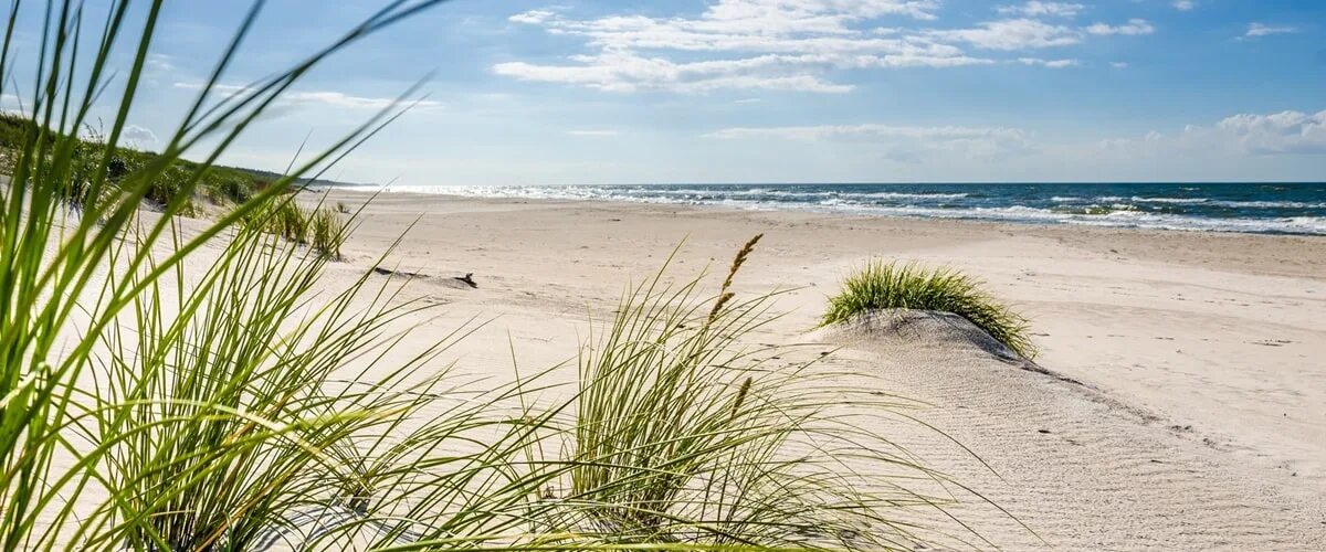 Strand c. Strand c