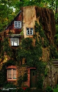 Me forest home