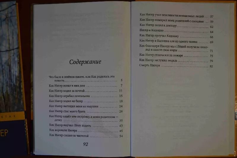 Каждый мечтает о собаке содержание