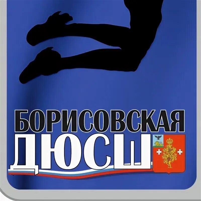 Профиль спортивной школы. Директор спортивной школы Борисово. Отделение Борисовой логотип.