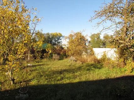 Сосновка московская область