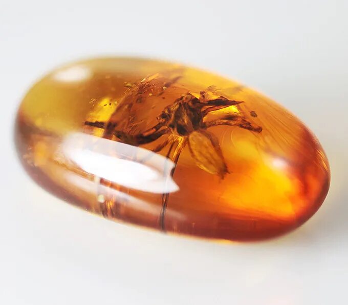 Джибитсы янтарь камень. Янтарь камень аморфное. Янтарь камень. Янтарь кабошоны с лузгой. Манотрон янтарь.