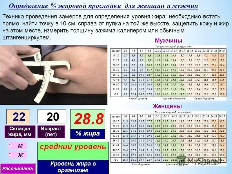 Таблица измерения жира калипером. Толщина подкожного жира у свиней. Калипер для измерения подкожного жира таблица. Толщина подкожного жира у свиней. Норма жира у мужчин в процентах по возрасту таблица.