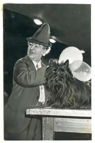 Какая собака была у карандаша. Скай терьер и скотч терьер. Шотландский терьер. Скотч терьер карандаш клоун. Чтьака клоуна карвндаша.