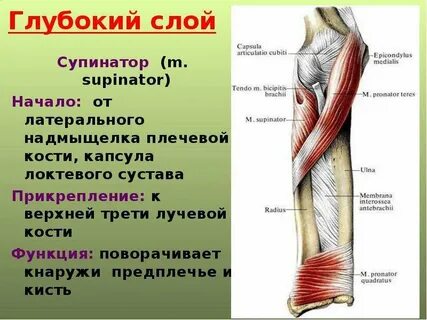 Глубокий слой