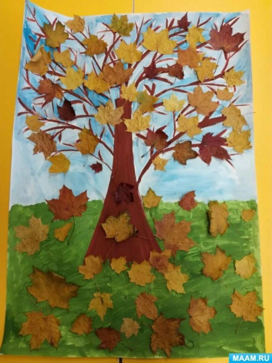 Осенний лес фон. Осень в лесу. Как красив осенний лес среди листвы. Осень калининград деревья парк. Осень в лесу.