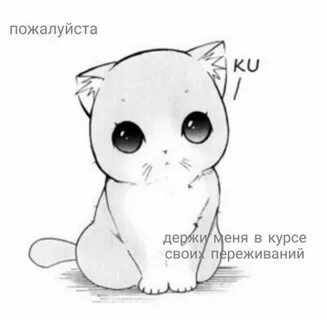 Как нарисовать котика милого маленького