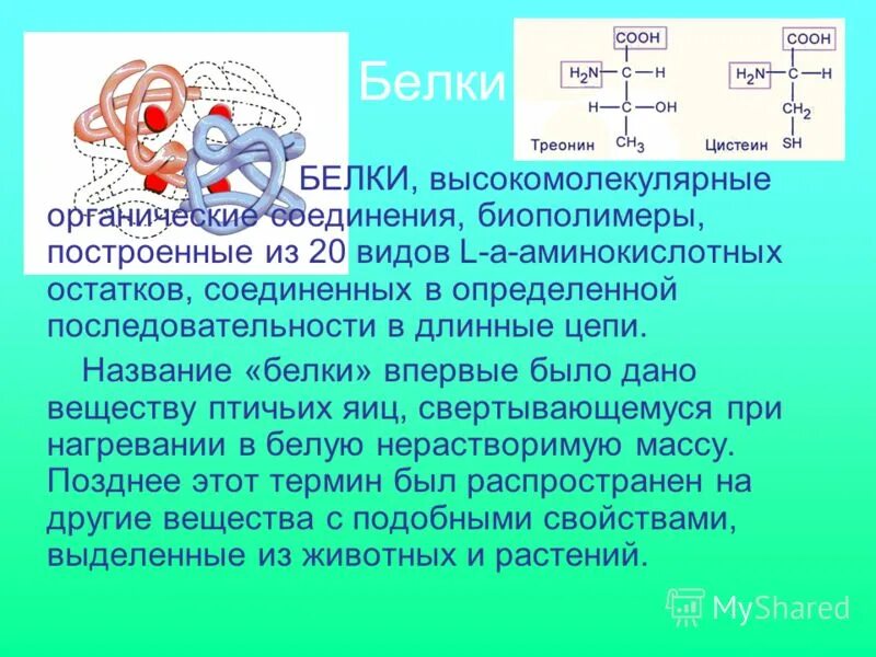 молекула таблица. питательные вещества таблица 8 класс биология. функции органических веществ 5 класс биология таблица. белки высокомолекулярные органические. белки это высокомолекулярные соединения.
