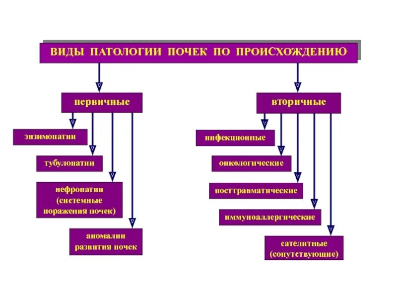 Как понять патологию. Виды патологий. Типы патологии.