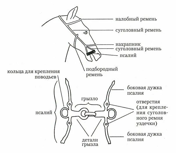 У миколы узда