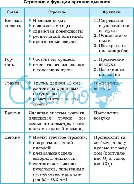 Дыхательные пути таблица 8 класс биология