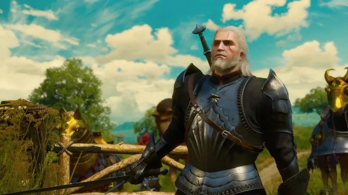 Witcher дополнения