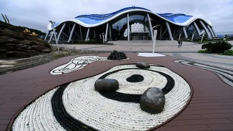 Океанариум во владивостоке на острове русском