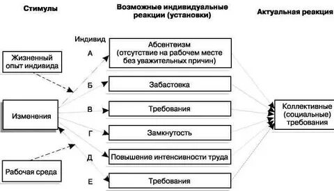 Система реакций на внешние воздействия