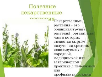 Презентация травы 3 класс