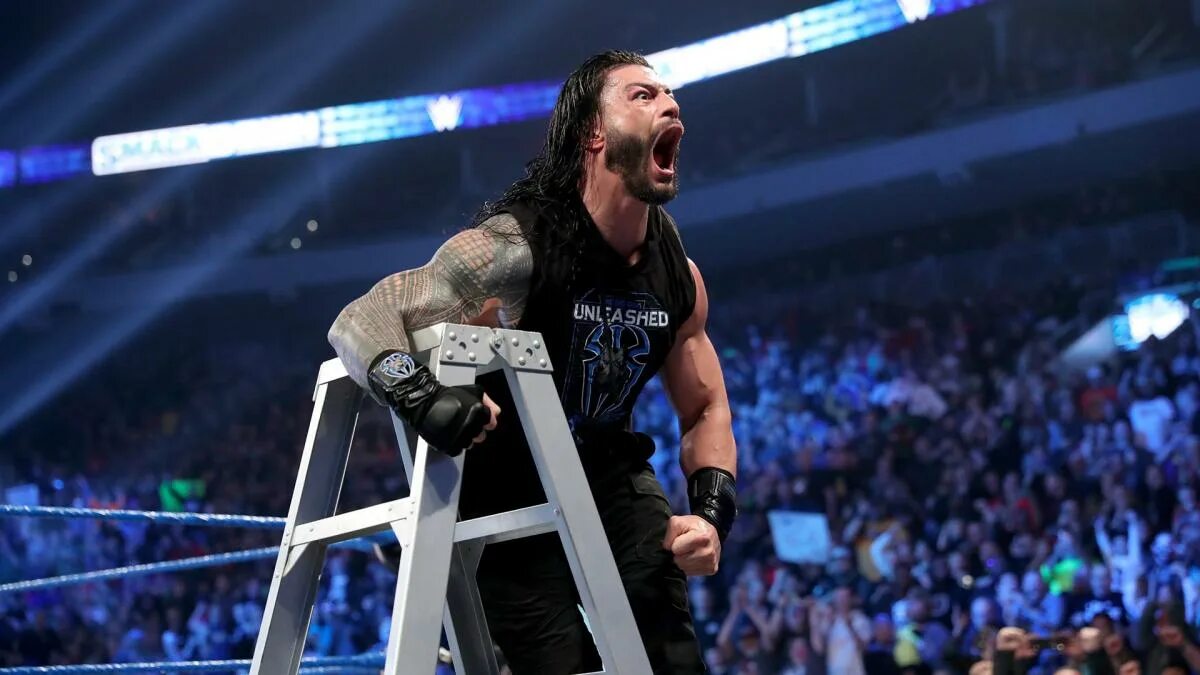 Рестлер WWE SMACKDOWN. Roman Reigns 2019. WWE SMACKDOWN 2019. Рестлер (2019).