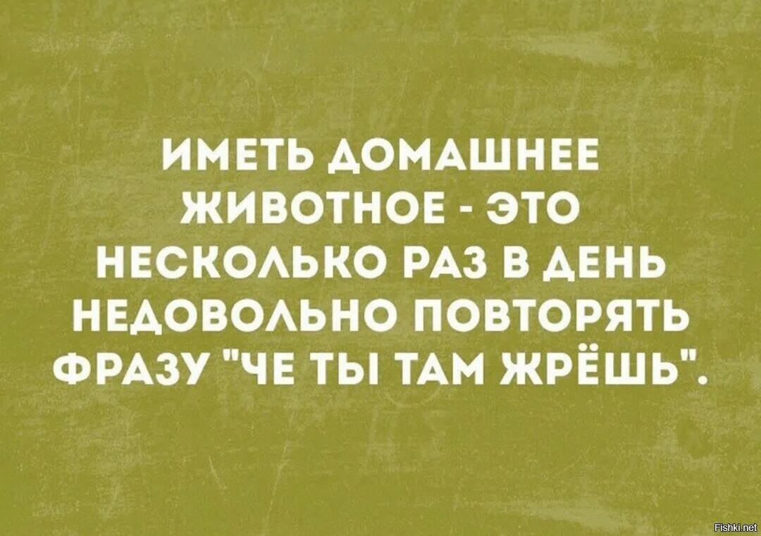 Что ты там жрешь. Жрете там. Жрешь там без меня. Иметь домашнее животное это говорить что ты там жрешь. Повторить фразу несколько раз