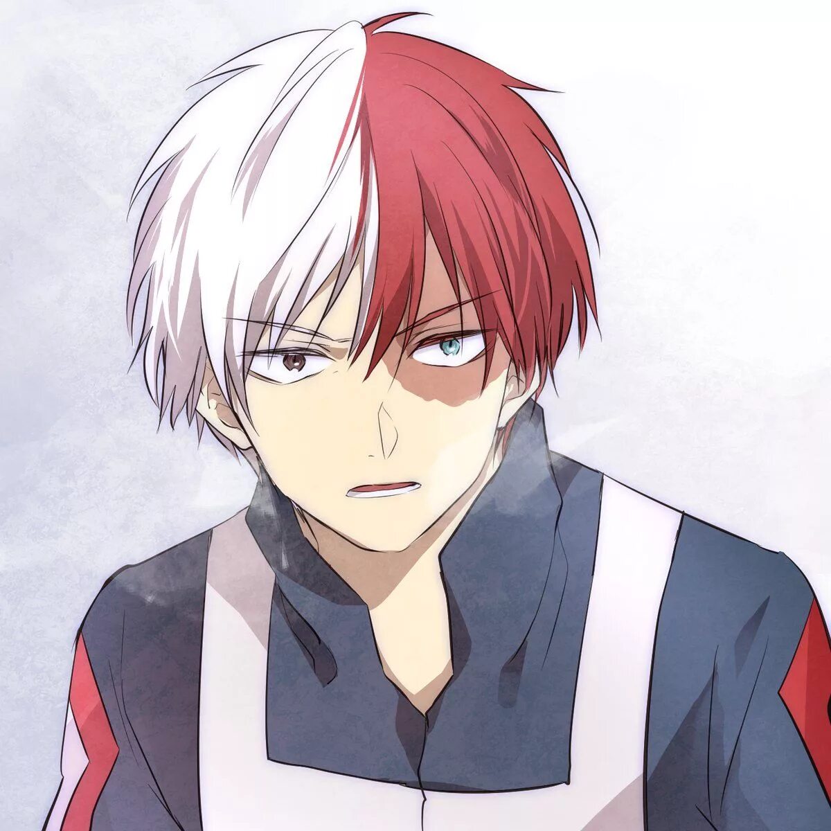 Todoroki reader