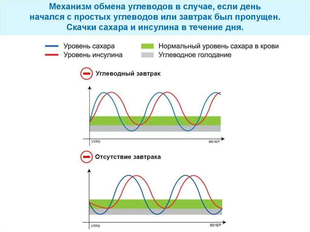 Инсулин в течении дня. Скачок сахара. График физиологии инсулина в течении дня. График скачков сахара.