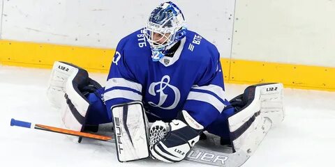 Волк вратарь динамо
