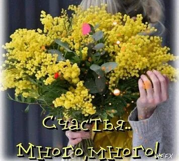 Мимоза афоризмы