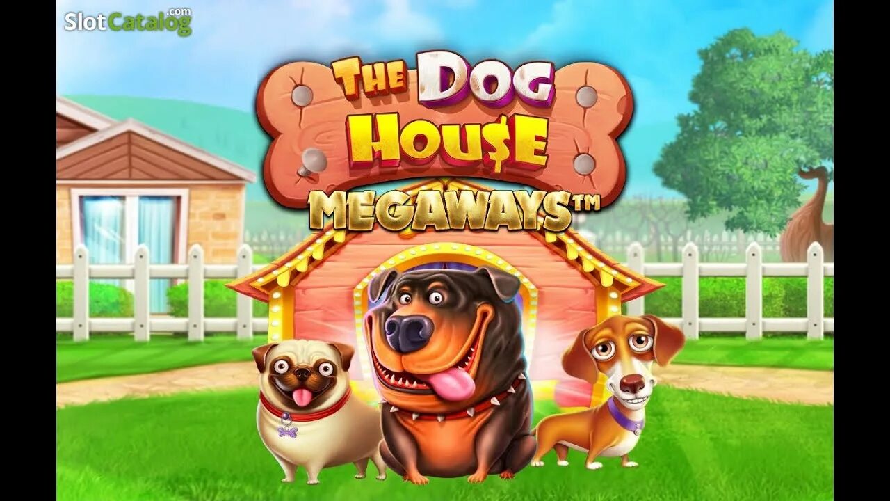 Дог Хаус казино. Dog House слот. Казино слот the Dog House. Слот дог Хаус Мегавейс. Dog house слот doghouse