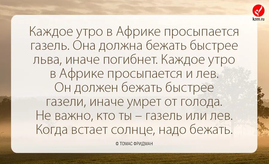 На ней должна легко. Каждое утро в Африке просыпается. Каждое утро в Африке просыпается Газель. Каждое утро в Африке просыпается Газель она должна. Каждое утро просыпается Газель.