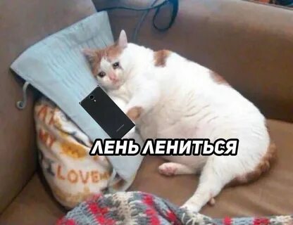 Лень 2024
