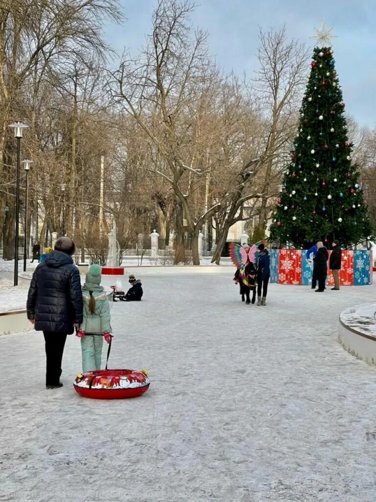 Парка рязань купить. Наташкин парк Рязань. Верхний городской парк Рязань. Парк Рязань зима. Рязань зимой парк.