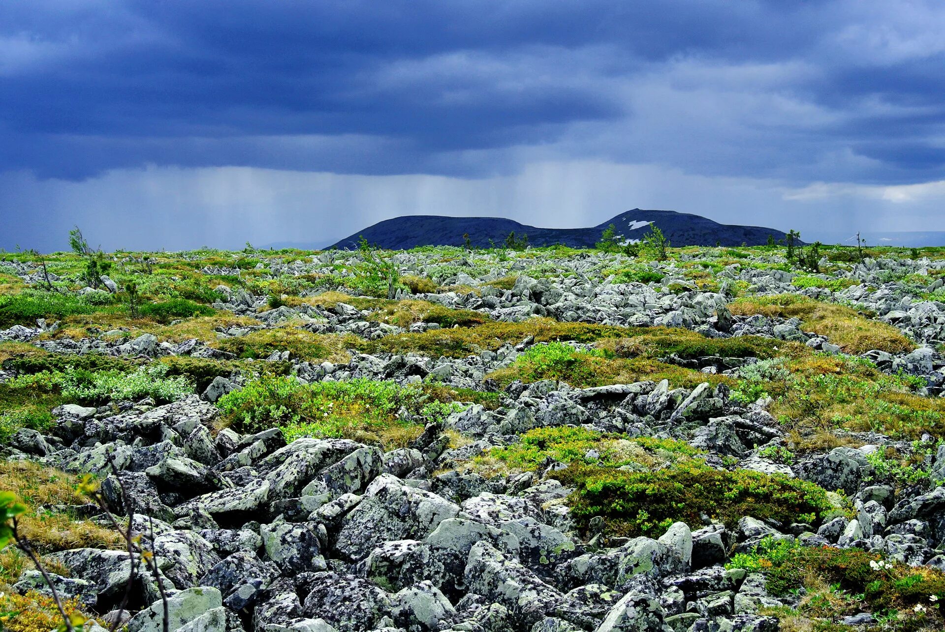 Южный урал природа горы. Приполярный урал манарага. Монтана штат закат. Таганай национальный парк двуглавая сопка. Уральские горы в янао.