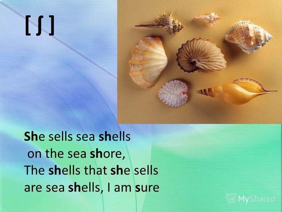 Sell the seashells on the seashore