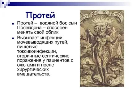 Протей в честь персонажа греческих мифов
