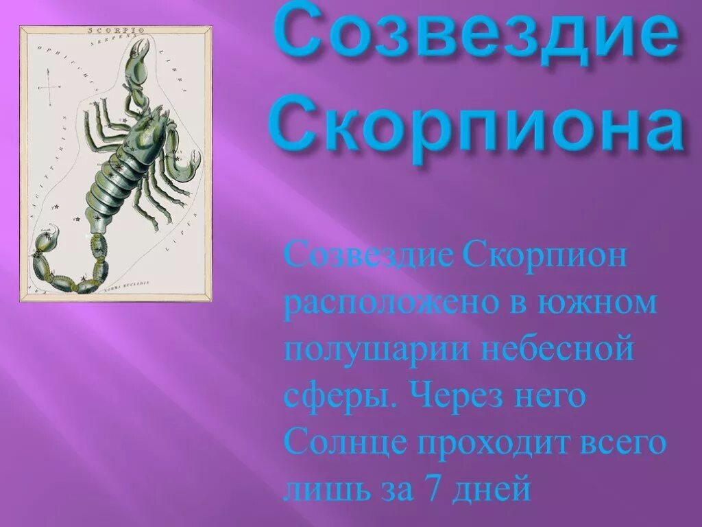 Гороскоп скорпион 2