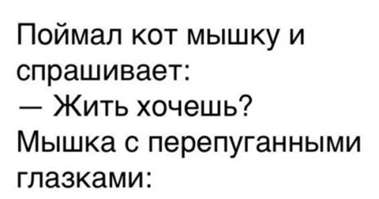 Анекдоты мышей. Анекдот про мышку. Анекдоты про мышей. Анекдот про пьяную мышку. Анекдот про кота и мышь.