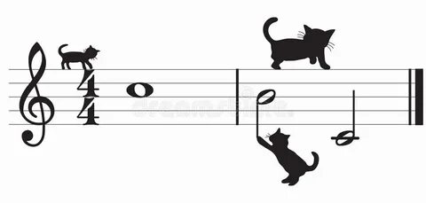 Нот коте