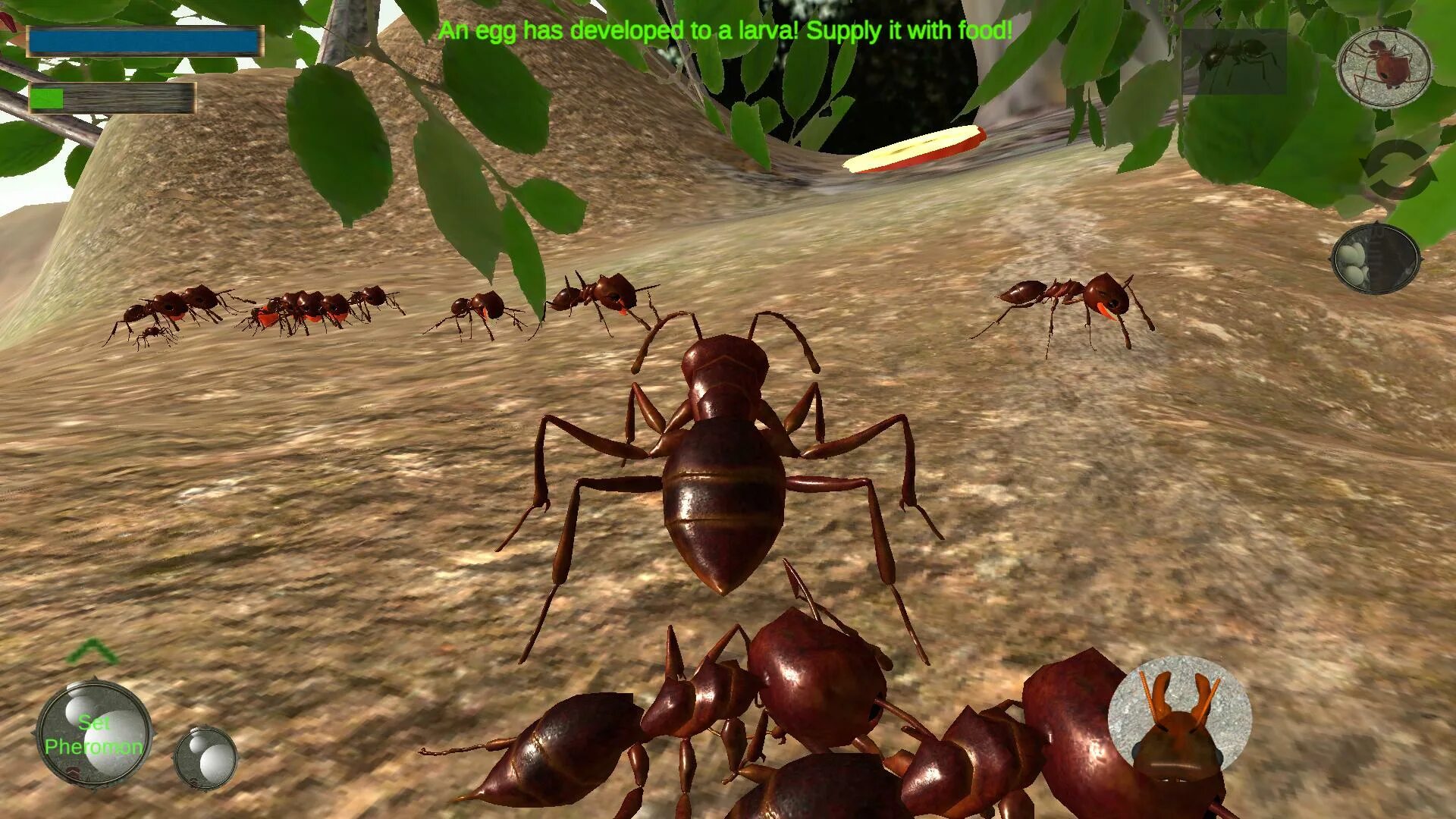 Игра про муравьев и жизнь. The ants хорошие муравьи. The ants игра. Игра про муравьев empires of the undergrowth. Муравьиная империя игра.