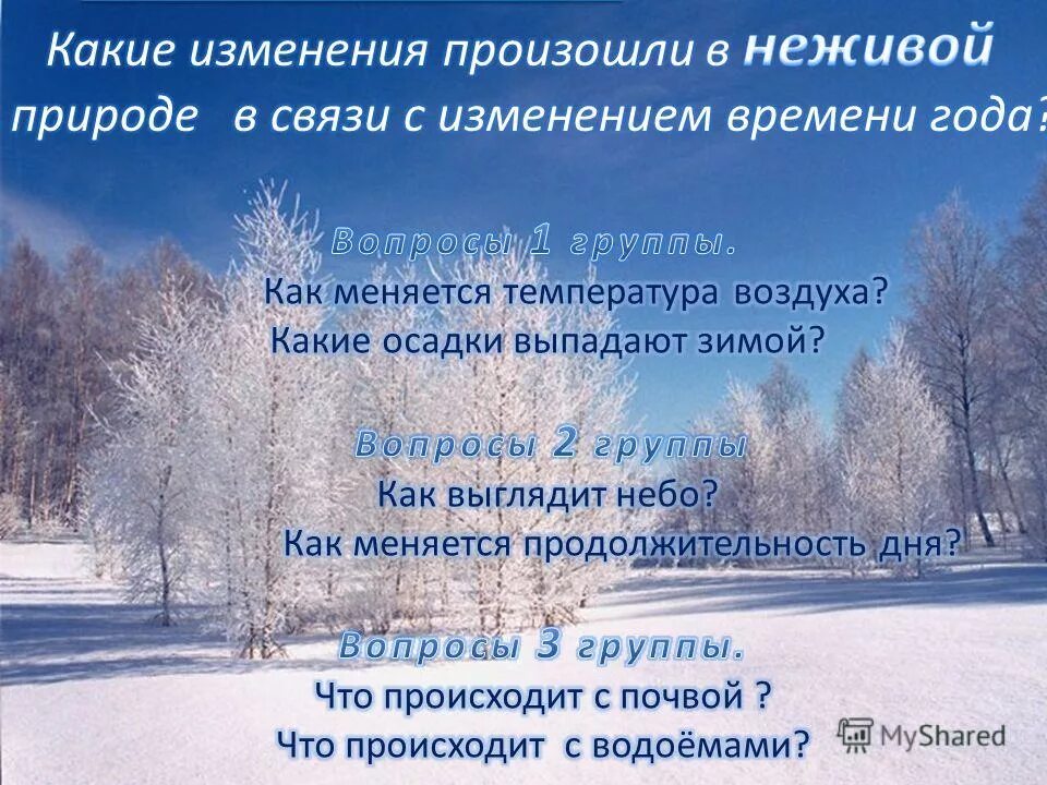 Изменения в природе в декабре. Зимние изменения в природе. Сезонные изменения в природе зима. Изменения происходящие в природе зимой. Изменения в живой природе зимой.