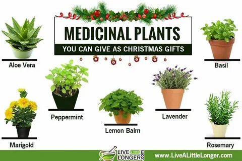 Plant names