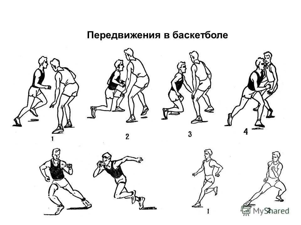 Нападение движение. Техника передвижения остановок поворотов и стоек в баскетболе. Техника перемещения в баскетболе. Совершенствование техники передвижений в баскетболе. Баскетбол передвижение в стойке баскетболиста.