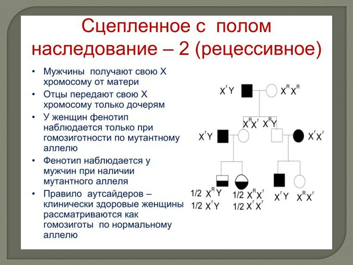 Рецессивно доминантный тип наследования. Сцепленный с х-хромосомой (с полом) рецессивный Тип наследования. Сцепленный с полом рецессивный Тип наследования. X сцепленное рецессивное наследование примеры. Сцепленное с полом рецессивное наследование примеры.