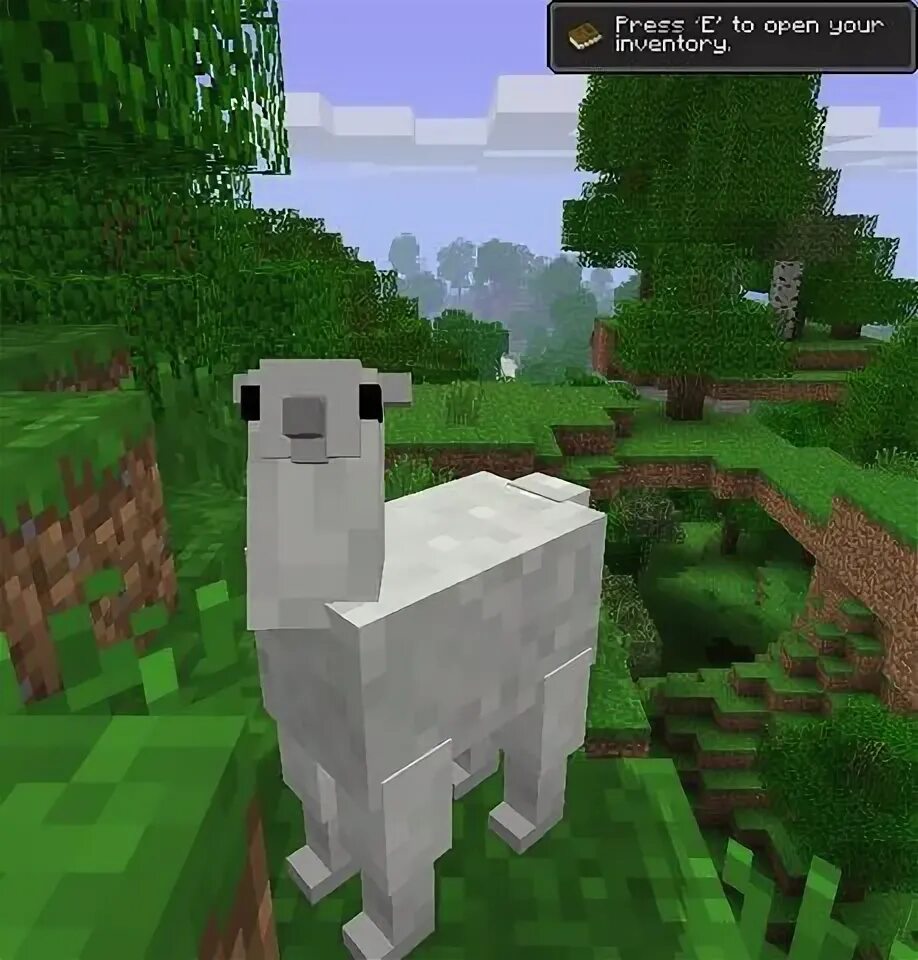 Лама в майнкрафте. Майнкрафт лама 1. Альпаки в майнкрафте. Альпаки в майнкрафте. Лама в майнкрафте.