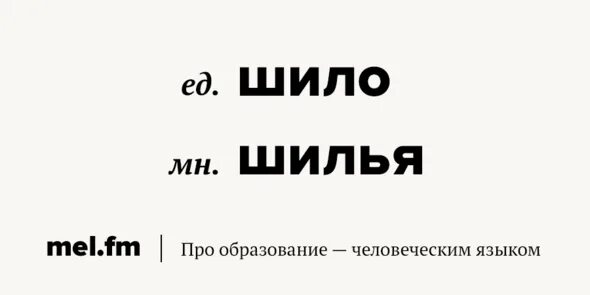 Как писать слово шьешь