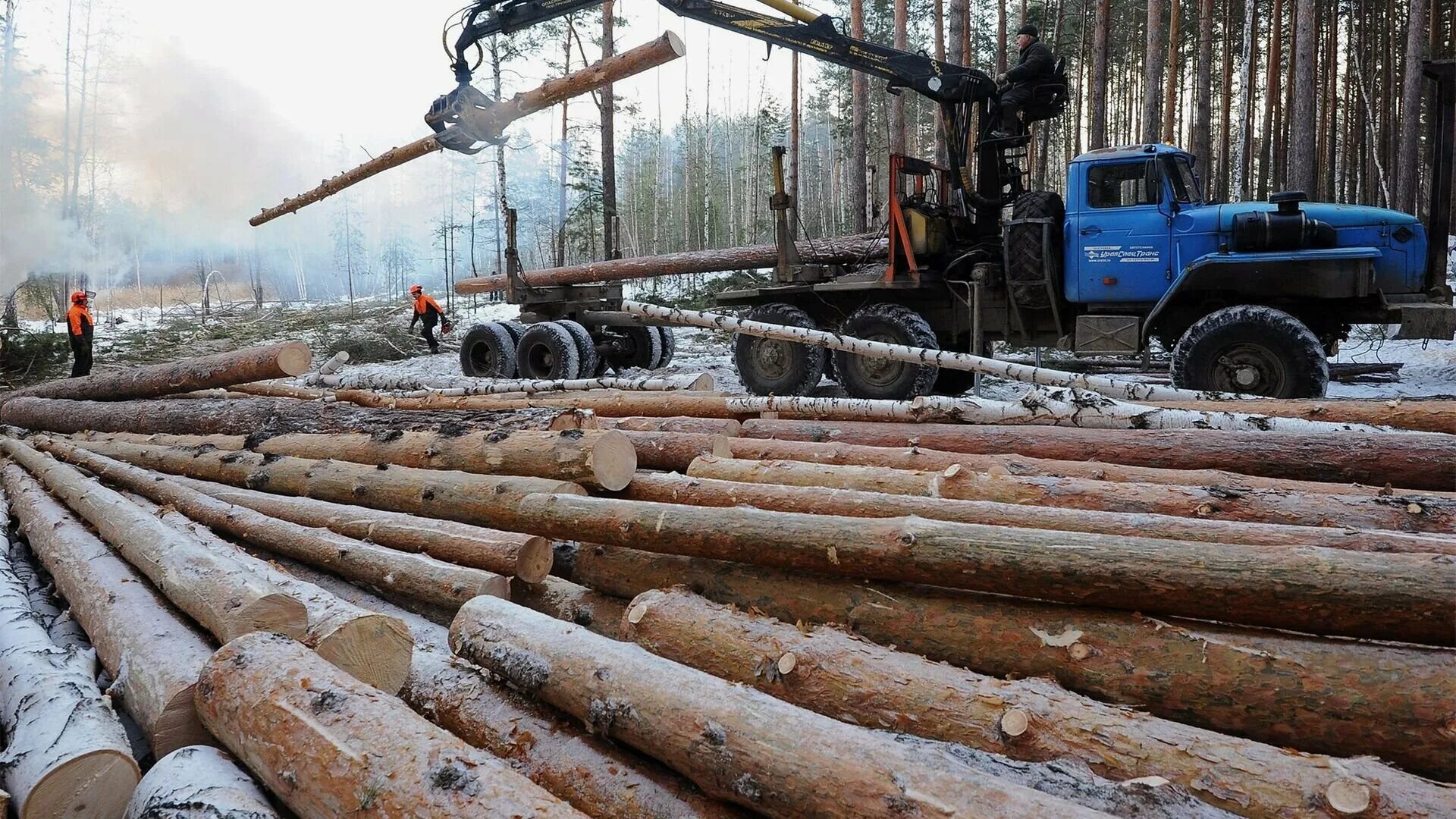 Лесная промышленность Сахалина. МАЗ 509 леспромхоз. Заготовка древесины. Заготовка леса. Лесозаготовка страны