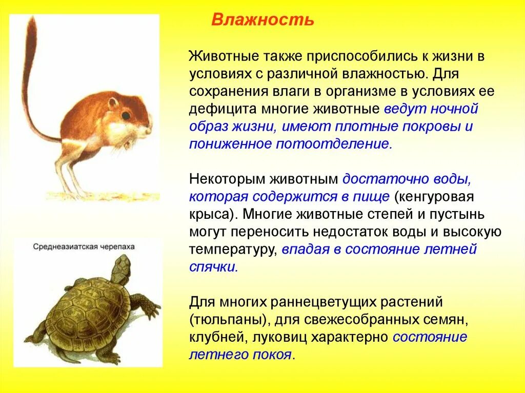 Влияние воздуха на живые организмы. Влияние влажности на животных. Влияние влажности на организм животного. Влияние влажности на животных примеры. Влияние влажности воздуха на живые организмы.